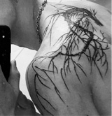 Guest_Tatttts