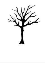 zyntii