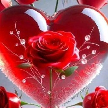 ROSESROZIE