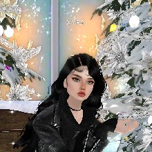 Guest_XYR11