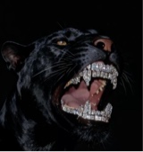 immagine avatar