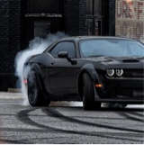 Guest_Josh343771