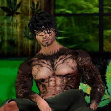 immagine avatar