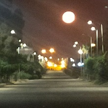 Guest_SaadTaha