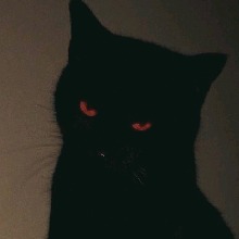 Guest_Ddxvinn