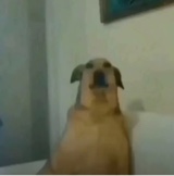 Guest_Elenaaaaabaeeee