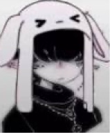Guest_camiibruh