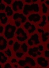 Guest_misslisa16