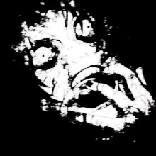 Guest_Noah1763