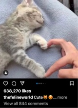 Guest_MakennaWilliams