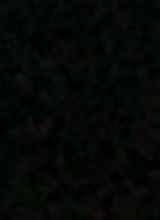 Guest_Jake70821
