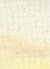 Guest_max68051