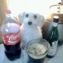 Guest_Laura647547
