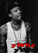 yWhz