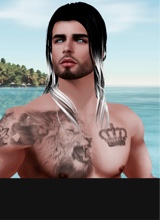 Guest_fragileunicorn3bff