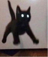 Guest_hxneydew1
