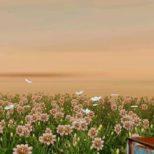 Guest_Aphrodite967747
