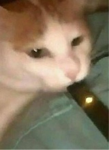 Guest_RurallyX