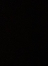 Guest_Sof223