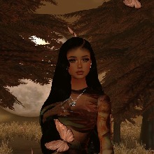 Guest_Babidibo