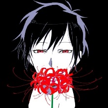 Guest_musmus