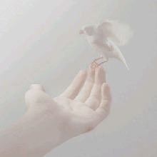 Guest_Angelbl0ssom