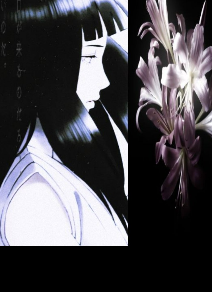 Guest_mikakjkk