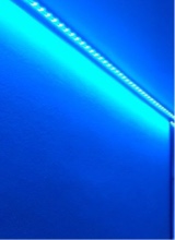 Guest_TpnNotch