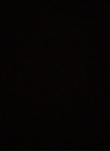 Guest_jaylaaa23