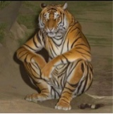 Guest_KingJay304575