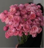Guest_annaa99978