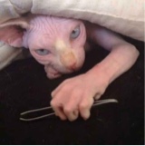 Guest_sleepwalkin1