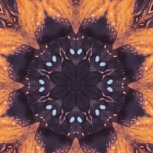 Guest_deletedfeelins