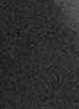 Guest_hannah492273