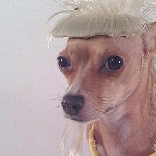 Guest_pacoskynwalker