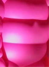 Guest_Nova371380