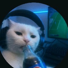 Guest_pyhpH