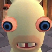 Guest_Cow85686
