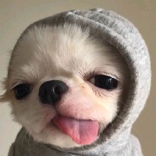 Guest_Ffkayla