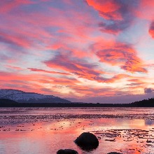 LizzyRoseSky98