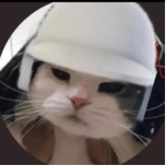 Guest_Aydensacc