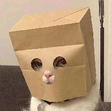 DusKl