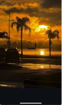 Guest_AdrianoSouza12