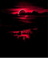 Guest_Brooklyn128877