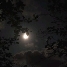 Guest_NightMare228923