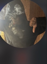 Guest_vzrn