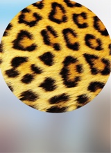 صورة الـavatar