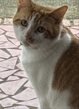 3oJeimy
