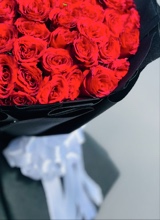صورة الـavatar