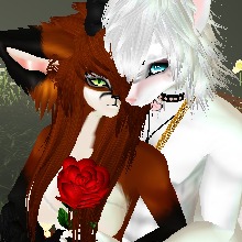 Guest_Dawn798441